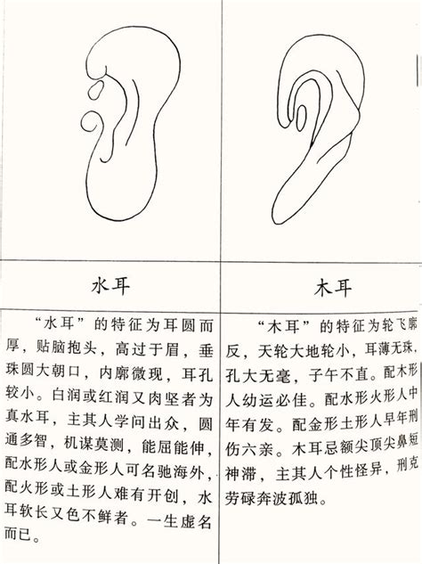 耳型 面相|面相入门